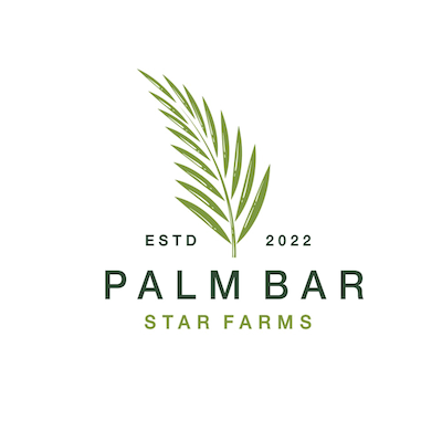 Palm Bar